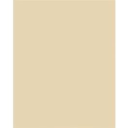 Dekorkarton, 2 oldalas, 50x70cm, 220 g, 10 lap, FOLIA, bézs