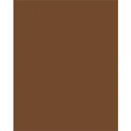   Dekorkarton, 2 oldalas, 50x70cm, 220 g, 10 lap, FOLIA, csokoládébarna