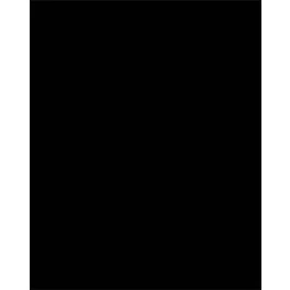   Dekorkarton, 2 oldalas, 50x70cm, 220 g, 10 lap, FOLIA, fekete