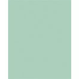 Dekorkarton, 2 oldalas, A4, 220 g, 100 lap, FOLIA, menta