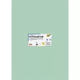   Dekorkarton, 2 oldalas, 50x70 cm, 300 g, 10 lap, FOLIA, menta