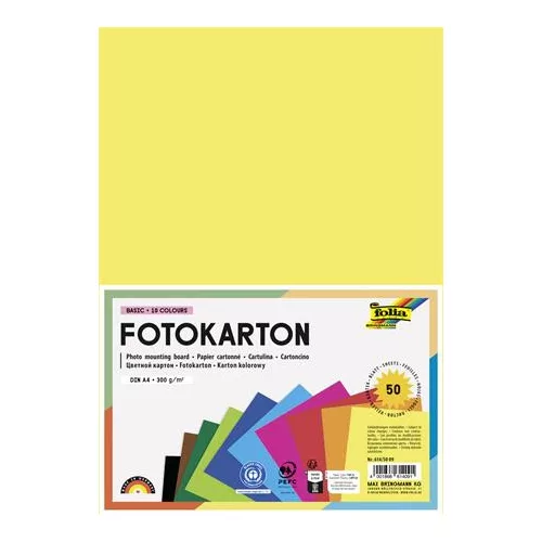 Dekorkarton, 2 oldalas, A4, 300 g, 10x5 lap, FOLIA, vegyes színek