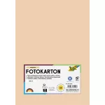 Dekorkarton, 2 oldalas, A4, 300 g, 50 lap, FOLIA, barack