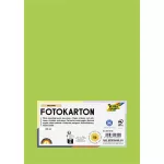 Dekorkarton, 2 oldalas, A4, 300 g, 50 lap, FOLIA, tavaszzöld