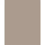 Dekorkarton, A4, 300 g, 50 lap, FOLIA, cappuccino