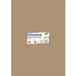 Dekorkarton, 2 oldalas, 50x70 cm, 300 g, 10 lap, FOLIA, őzbarna