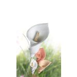 Gyurma, 500 g, levegőre száradó, FIMO "Air Basic", fehér