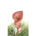 Gyurma, 500 g, levegőre száradó, FIMO "Air Basic", bőrszín