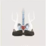 Memóriahabos ergonomikus ülőpárna