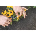 Metszőolló, FISKARS "Solid™ SP14"