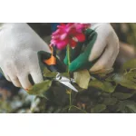 Metszőolló, hegyes, FISKARS "Solid™ SP15"