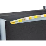 Harmonikamappa, A4, PP, 13 rekeszes, RAPESCO "Eco GRS Recycled", matt fekete