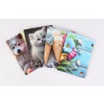 Igazolványtartó, álló, 10 betét lappal, mintás PVC, "Bővített személyi", lány