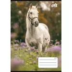 Füzet, tűzött, A5, vonalas, 32 lap, 1. osztály, COOL BY VICTORIA "Free Spirit", "14-32"