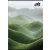 Füzet, tűzött, A4, sima, 80 lap, COOL BY VICTORIA "Green Calm"