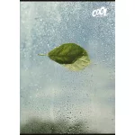 Füzet, tűzött, A4, sima, 80 lap, COOL BY VICTORIA "Green Calm"