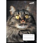 Füzet, tűzött, A5, vonalas, 32 lap, 1. osztály, COOL BY VICTORIA, "Animals", 14-32