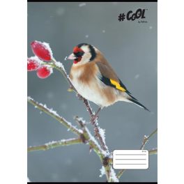   Füzet, tűzött, A4, vonalas, 32 lap, COOL BY VICTORIA, "Little birds", 81-32