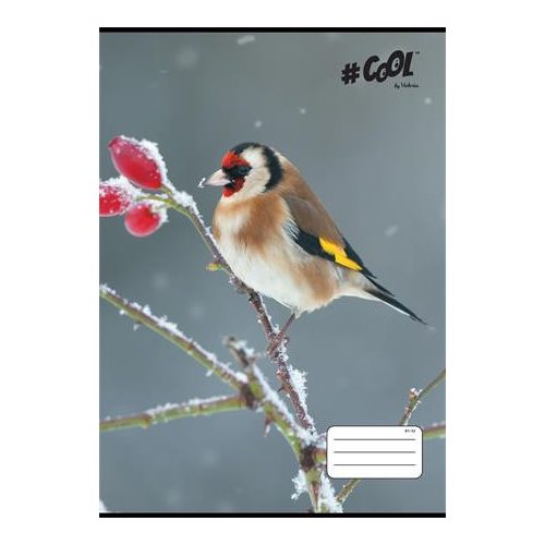 Füzet, tűzött, A4, vonalas, 32 lap, COOL BY VICTORIA, "Little birds", 81-32