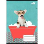 Füzet, tűzött, A5, vonalas, 32 lap, 2. osztály, COOL BY VICTORIA "Bath", "16-32"