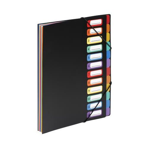 Irattartó mappa, gumis, 12 részes, VIQUEL "Rainbow Class", fekete