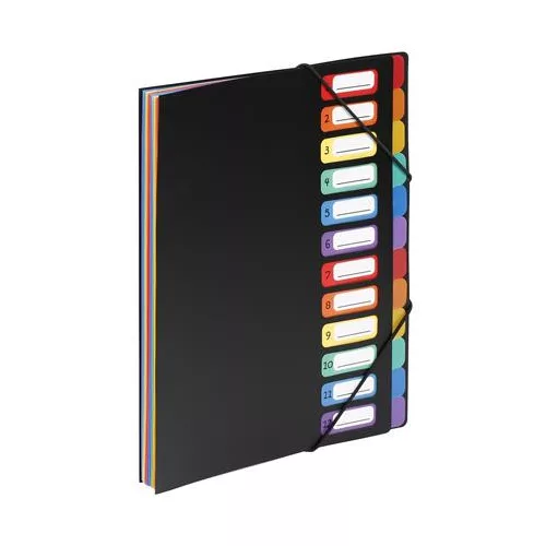 Irattartó mappa, gumis, 12 részes, VIQUEL "Rainbow Class", fekete