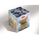 Papír zsebkendő, 3 rétegű, 54 db, OOOPS