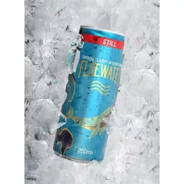 Ásványvíz, szénsavmentes, 250 ml, FLOEWATER