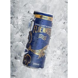 Ásványvíz, szénsavas, 250 ml, FLOEWATER