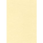 Előnyomott papír, A4, 95 g, pergamen hatású, APLI, pezsgő