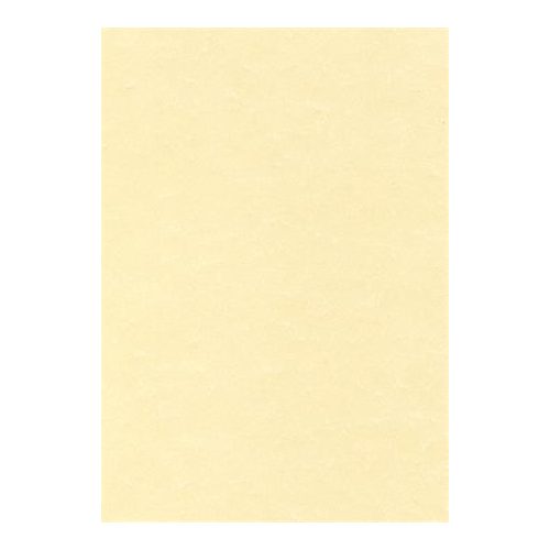 Előnyomott papír, A4, 95 g, pergamen hatású, APLI, pezsgő