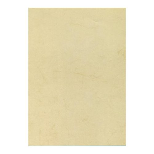 Előnyomott papír, A4, 200 g, APLI, havanna