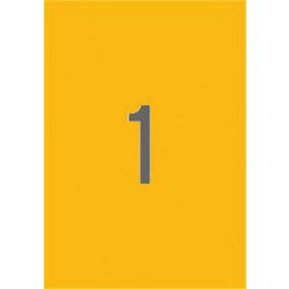   Etikett, 210x297 mm, színes, APLI, neon narancs, 20 etikett/csomag