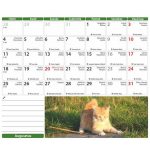 Naptár, asztali, álló, DAYLINER "Cicák"