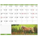 Naptár, asztali, álló, DAYLINER "Lovak"