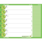 Diák zsebkönyv, heti, 2024/2025 tanév, REALSYSTEM, foci