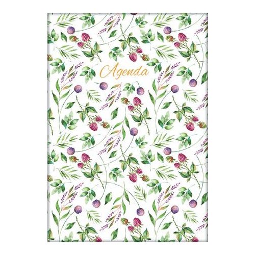 Naptár, tervező, A5, napi, DAYLINER, "Colors", Berries