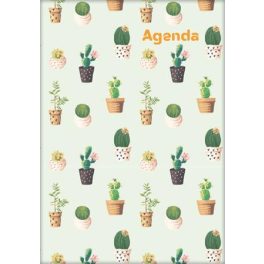   Naptár, tervező, A5, heti, DAYLINER, "Colors", Cactus
