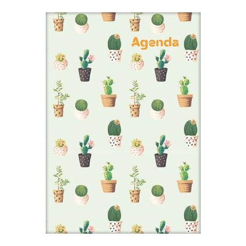 Naptár, tervező, A5, heti, DAYLINER, "Colors", Cactus