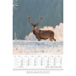 Naptár, fali, CSG "Vadász a Kárpát-medencében"