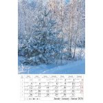 Naptár, fali, CSG "Erdeink világa"