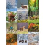 Naptár, fali, CSG "Erdeink világa"