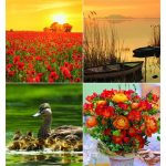 Naptár, fali, CSG, "Négy évszak"