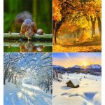 Naptár, fali, CSG, "Négy évszak"