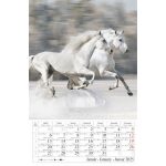 Naptár, fali, CSG "Lovak"