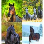 Naptár, fali, CSG "Lovak"