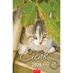 Naptár, fali, CSG, "Cicák"