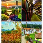 Naptár, fali, CSG "Borvidék"