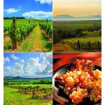 Naptár, fali, CSG "Borvidék"