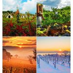 Naptár, fali, CSG "Borvidék"